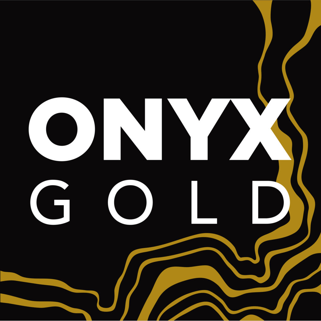 Onyx Logo Light Background