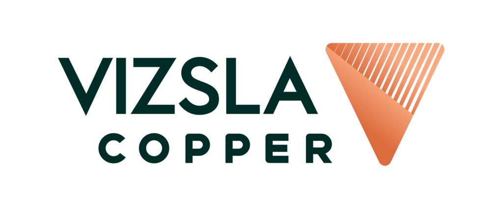 LOGO_VIZ_Primary Green (3)